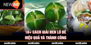 10+ cách giải đen lô đề hiệu quả và thành công