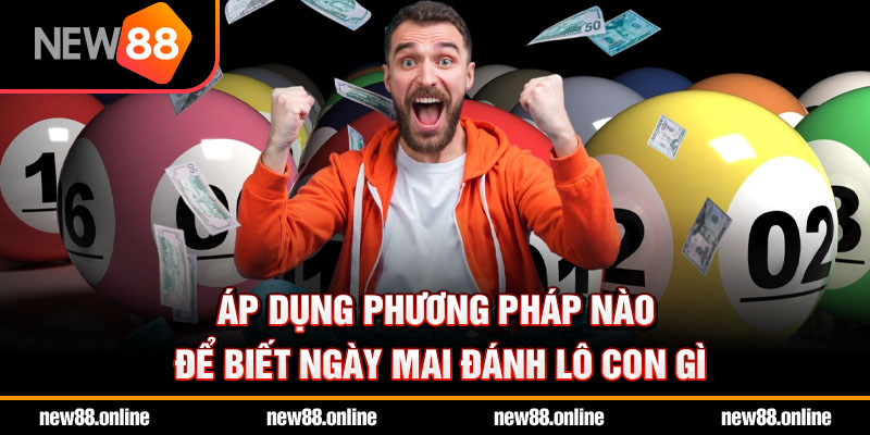 Áp dụng phương pháp nào để biết ngày mai đánh lô con gì