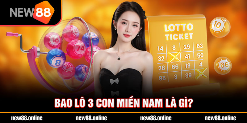 Bao lô 3 con miền Nam là gì?