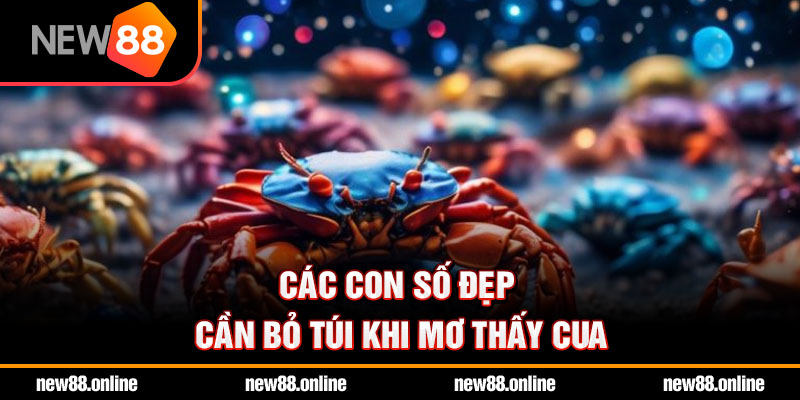 Các con số đẹp cần bỏ túi khi mơ thấy cua
