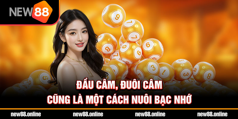 Đầu câm, đuôi câm cũng là một cách nuôi bạc nhớ
