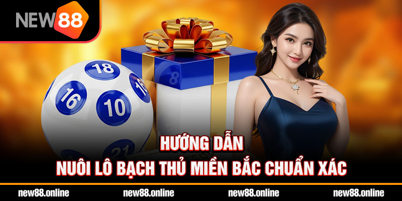 Hướng dẫn nuôi lô bạch thủ miền Bắc chuẩn xác