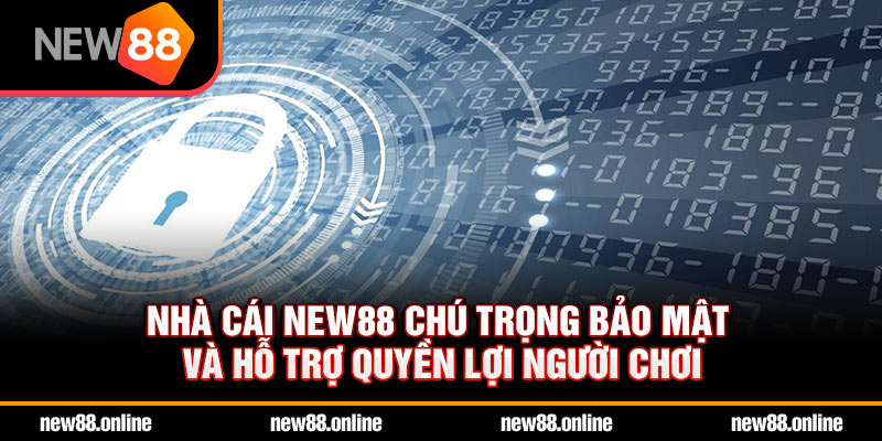 Nhà cái NEW88 chú trọng bảo mật và hỗ trợ quyền lợi người chơi